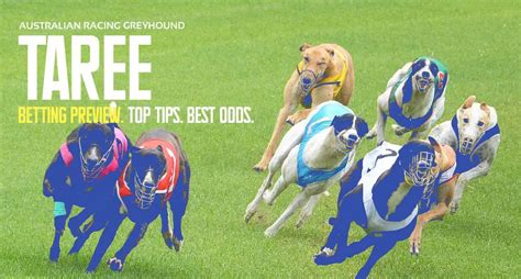Greyhound racing preview and free betting tips for .